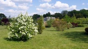 Park i ogrody norbertańskie w Strzelnie - zdjęcie 14