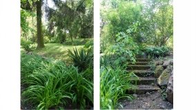 Park i ogrody norbertańskie w Strzelnie - zdjęcie 16