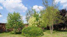 Park i ogrody norbertańskie w Strzelnie - zdjęcie 17