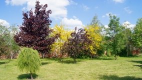 Park i ogrody norbertańskie w Strzelnie - zdjęcie 18