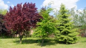 Park i ogrody norbertańskie w Strzelnie - zdjęcie 19