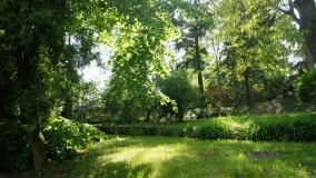 Park i ogrody norbertańskie w Strzelnie - zdjęcie 25