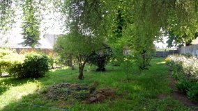 Park i ogrody norbertańskie w Strzelnie - zdjęcie 27