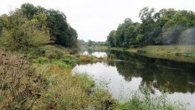 Ostrów Radzimski – osada, którą „wykończyła” epidemia cholery - zdjęcie 2