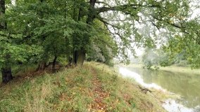 Ostrów Radzimski – osada, którą „wykończyła” epidemia cholery - zdjęcie 3
