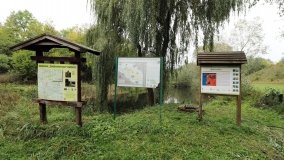 Ostrów Radzimski – osada, którą „wykończyła” epidemia cholery - zdjęcie 4
