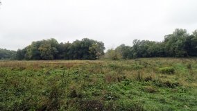 Ostrów Radzimski – osada, którą „wykończyła” epidemia cholery - zdjęcie 8