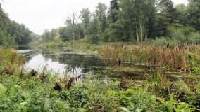 Ostrów Radzimski – osada, którą „wykończyła” epidemia cholery - zdjęcie 10