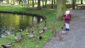 Mogilno – romantyczny park nad jeziorem - zdjęcie 5