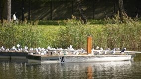 Mogilno – romantyczny park nad jeziorem - zdjęcie 6