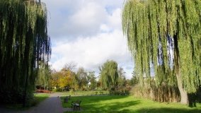 Mogilno – romantyczny park nad jeziorem - zdjęcie 8