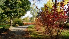 Mogilno – romantyczny park nad jeziorem - zdjęcie 9