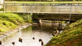 Mogilno – romantyczny park nad jeziorem - zdjęcie 11