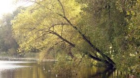 Mogilno – romantyczny park nad jeziorem - zdjęcie 14