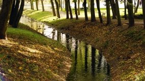 Mogilno – romantyczny park nad jeziorem - zdjęcie 16