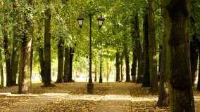 Mogilno – romantyczny park nad jeziorem - zdjęcie 19