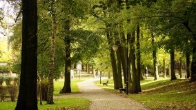 Mogilno – romantyczny park nad jeziorem - zdjęcie 21