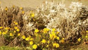 Mogilno – romantyczny park nad jeziorem - zdjęcie 24