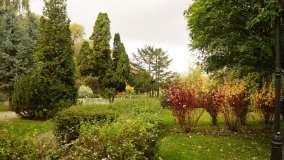 Mogilno – romantyczny park nad jeziorem - zdjęcie 26