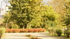 Mogilno – romantyczny park nad jeziorem - zdjęcie 27