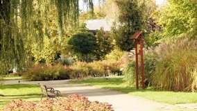 Mogilno – romantyczny park nad jeziorem - zdjęcie 30