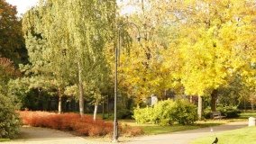 Mogilno – romantyczny park nad jeziorem - zdjęcie 32