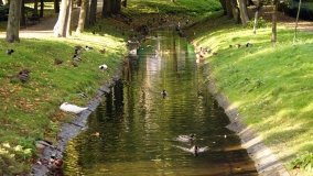 Mogilno – romantyczny park nad jeziorem - zdjęcie 35