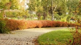 Mogilno – romantyczny park nad jeziorem - zdjęcie 36