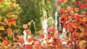 Mogilno – romantyczny park nad jeziorem - zdjęcie 39