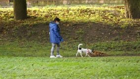 Mogilno – romantyczny park nad jeziorem - zdjęcie 41