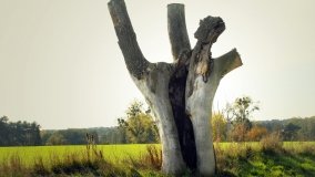 Mściszewska Binduga – przystań z klasą - zdjęcie 7