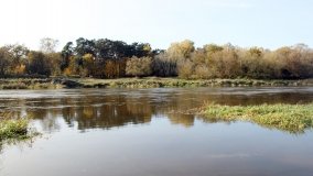 Mściszewska Binduga – przystań z klasą - zdjęcie 12