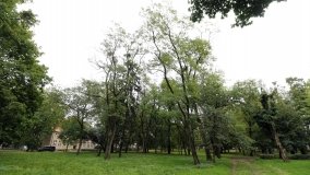 Nieznany dwór obronny w Murowanej Goślinie - zdjęcie 3