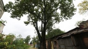 Nieznany dwór obronny w Murowanej Goślinie - zdjęcie 8