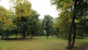 Nieznany dwór obronny w Murowanej Goślinie - zdjęcie 10