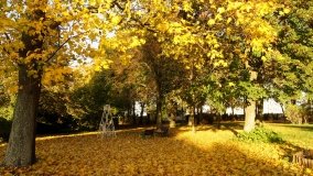 Górki – dwór z zabytkową kolekcją pojazdów konnych - zdjęcie 11