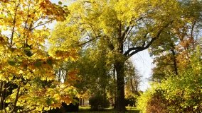 Górki – dwór z zabytkową kolekcją pojazdów konnych - zdjęcie 14