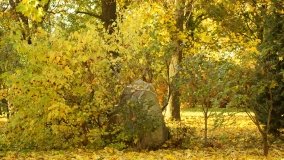 Górki – dwór z zabytkową kolekcją pojazdów konnych - zdjęcie 15