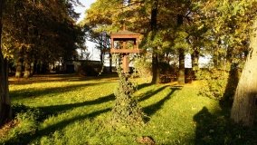 Górki – dwór z zabytkową kolekcją pojazdów konnych - zdjęcie 18