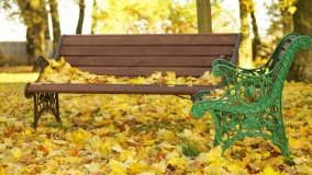 Górki – dwór z zabytkową kolekcją pojazdów konnych - zdjęcie 20