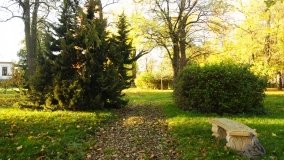 Górki – dwór z zabytkową kolekcją pojazdów konnych - zdjęcie 22