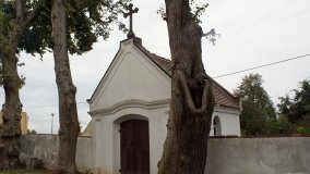 Tajemniczy tunel w Iwnie - zdjęcie 10