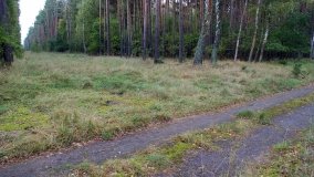 Cień swastyki nad Bednarami - zdjęcie 2