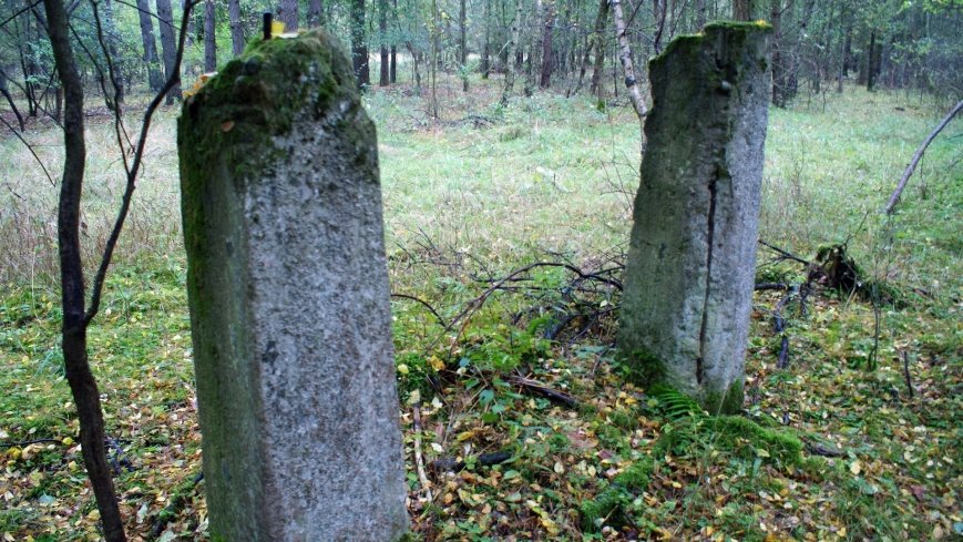 Cień swastyki nad Bednarami - zdjęcie 1