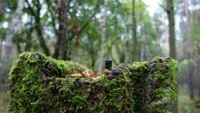 Cień swastyki nad Bednarami - zdjęcie 11
