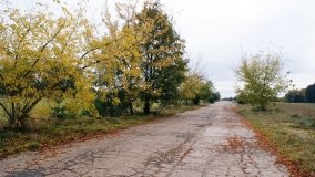 Cień swastyki nad Bednarami - zdjęcie 18