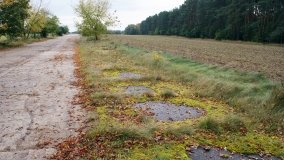 Cień swastyki nad Bednarami - zdjęcie 19