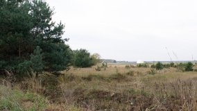 Cień swastyki nad Bednarami - zdjęcie 29
