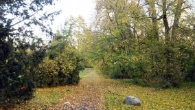 Egzotyczny park w Kobylnikach - zdjęcie 36