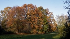 Egzotyczny park w Kobylnikach - zdjęcie 37